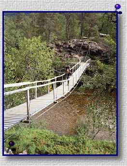 Holzhngebrcke im Dividalen (N) (IDE 901)